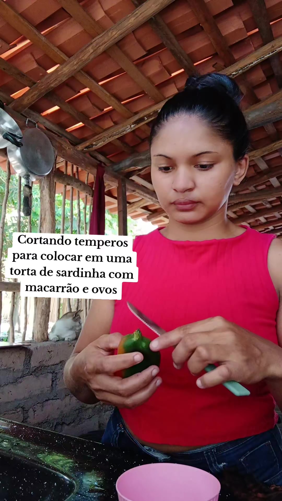 @Ana Viana_Oficial✅️