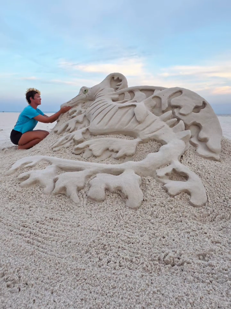 @Sand Castle University