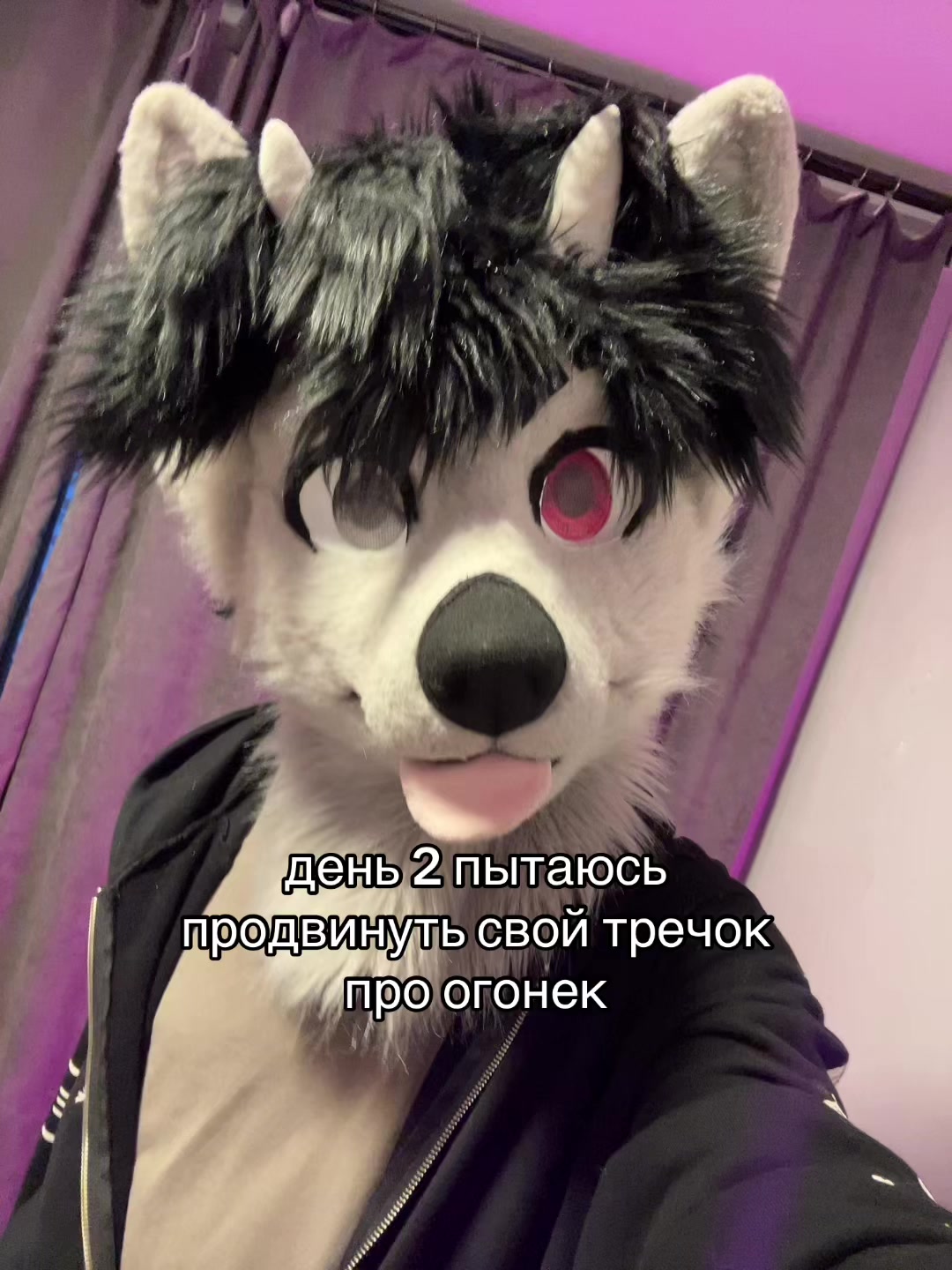 @фыркалко 🐾