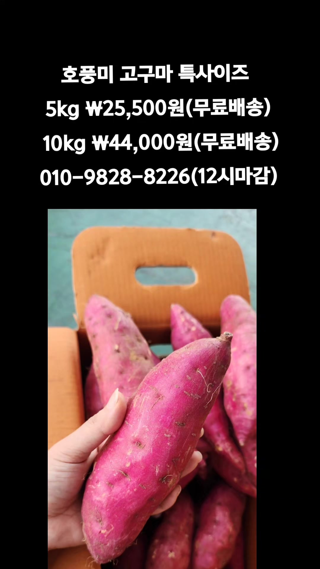@똑손