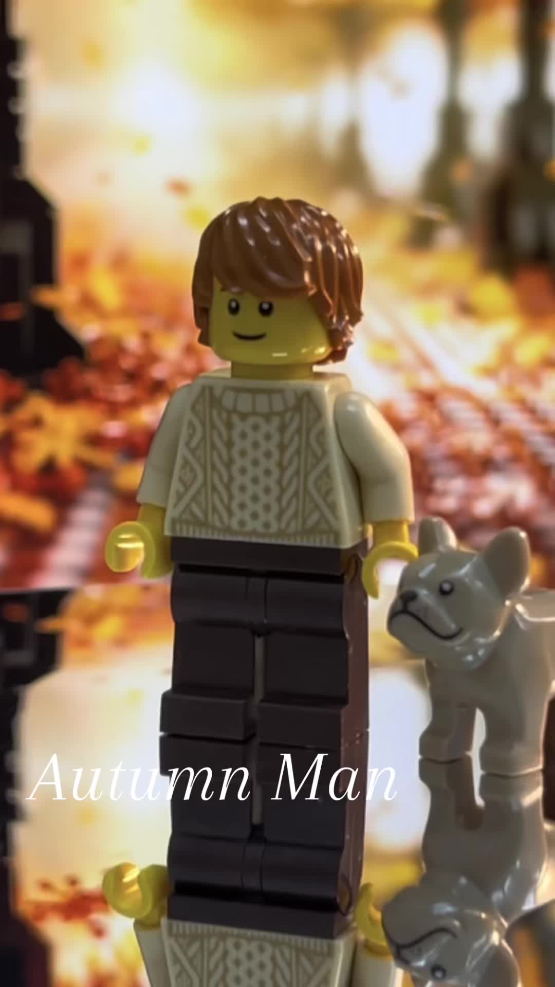 @brick_storyz
