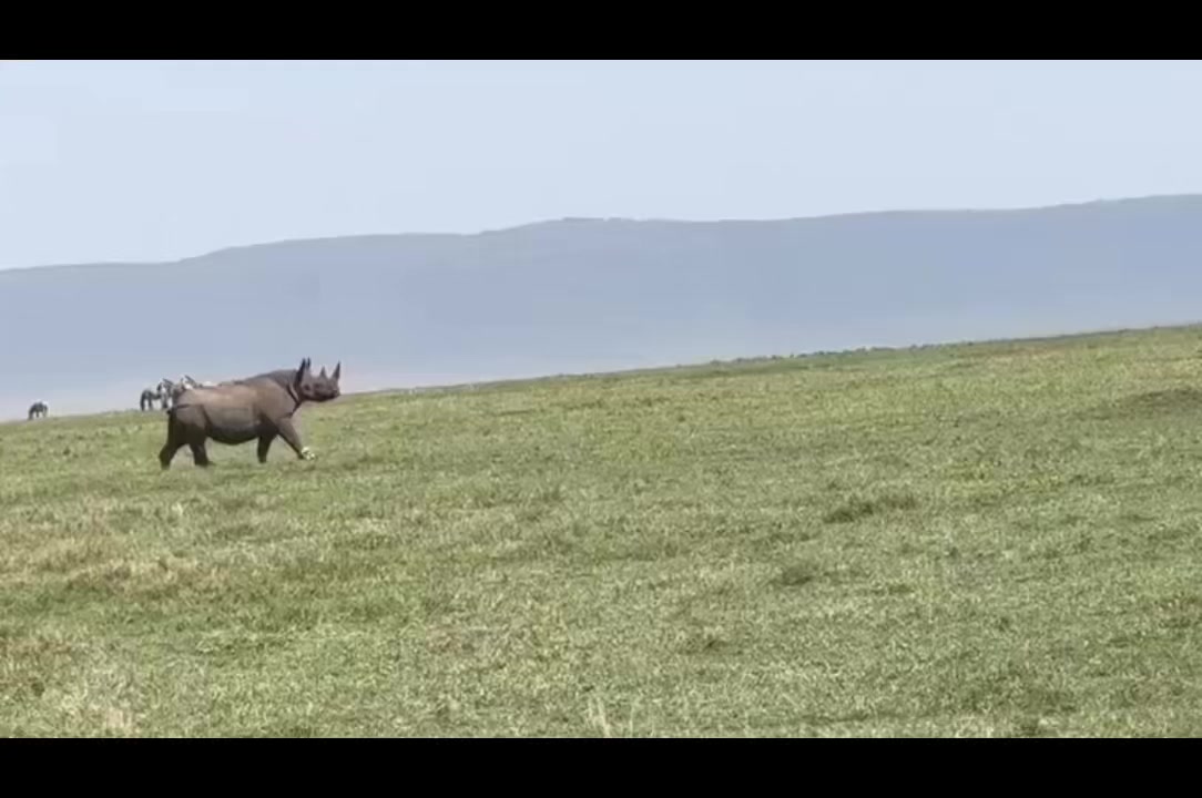 @UissoAdventuresAndSafarisLtd