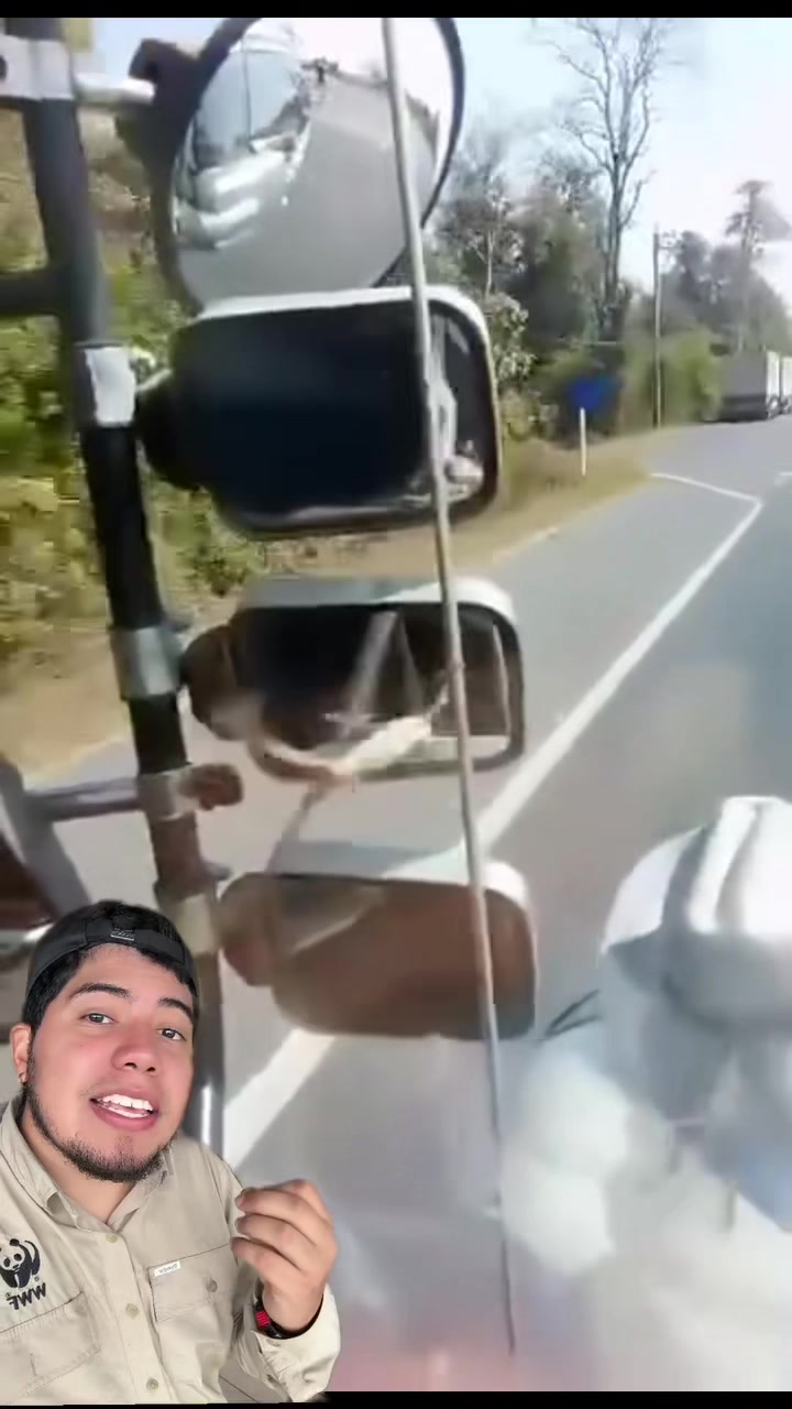 @Soy Sebassalvaje (dúos)