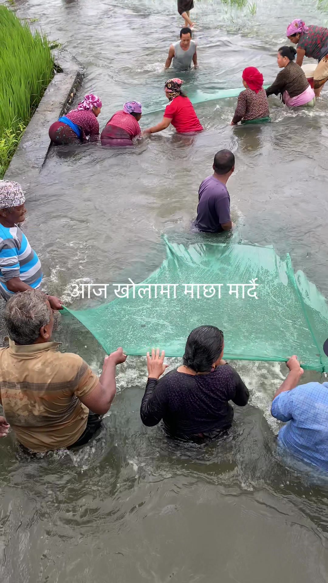@chhabilalthapa
