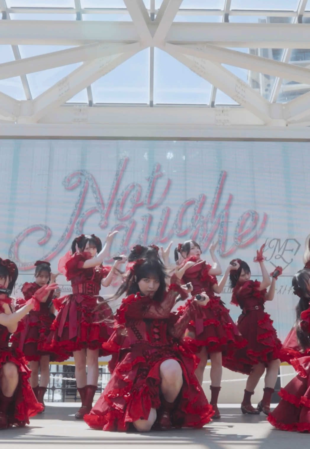 @ノイミーTikTok