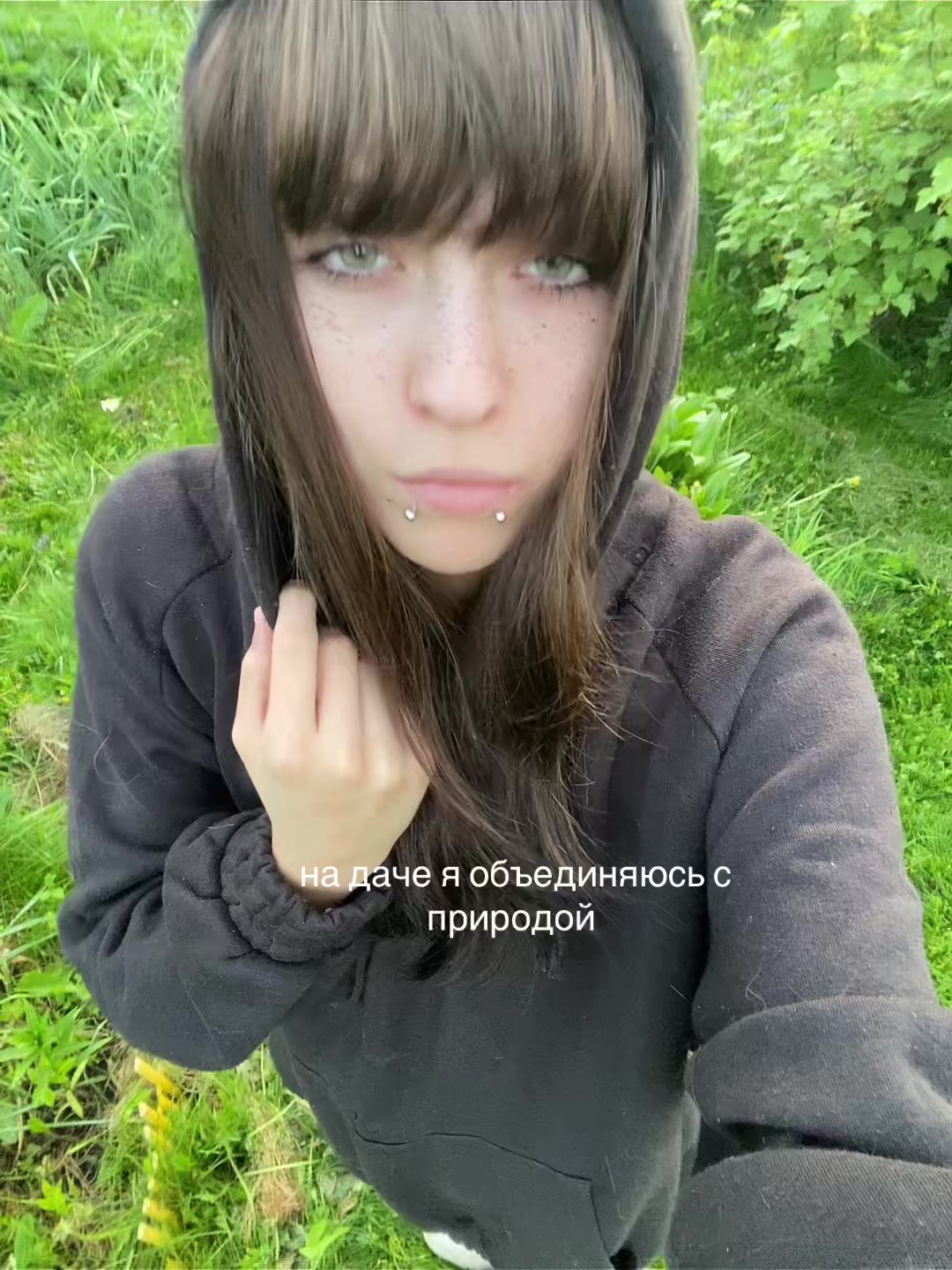 @ibarakisser