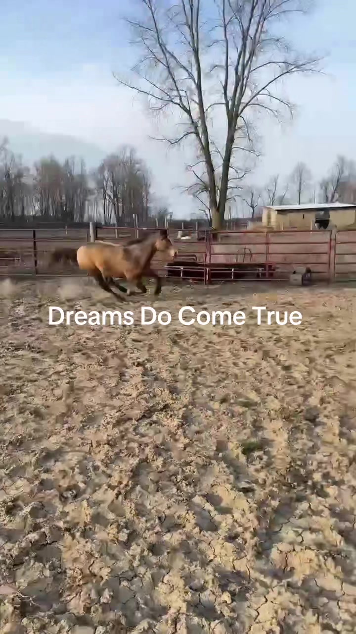 @dallasbosworth97