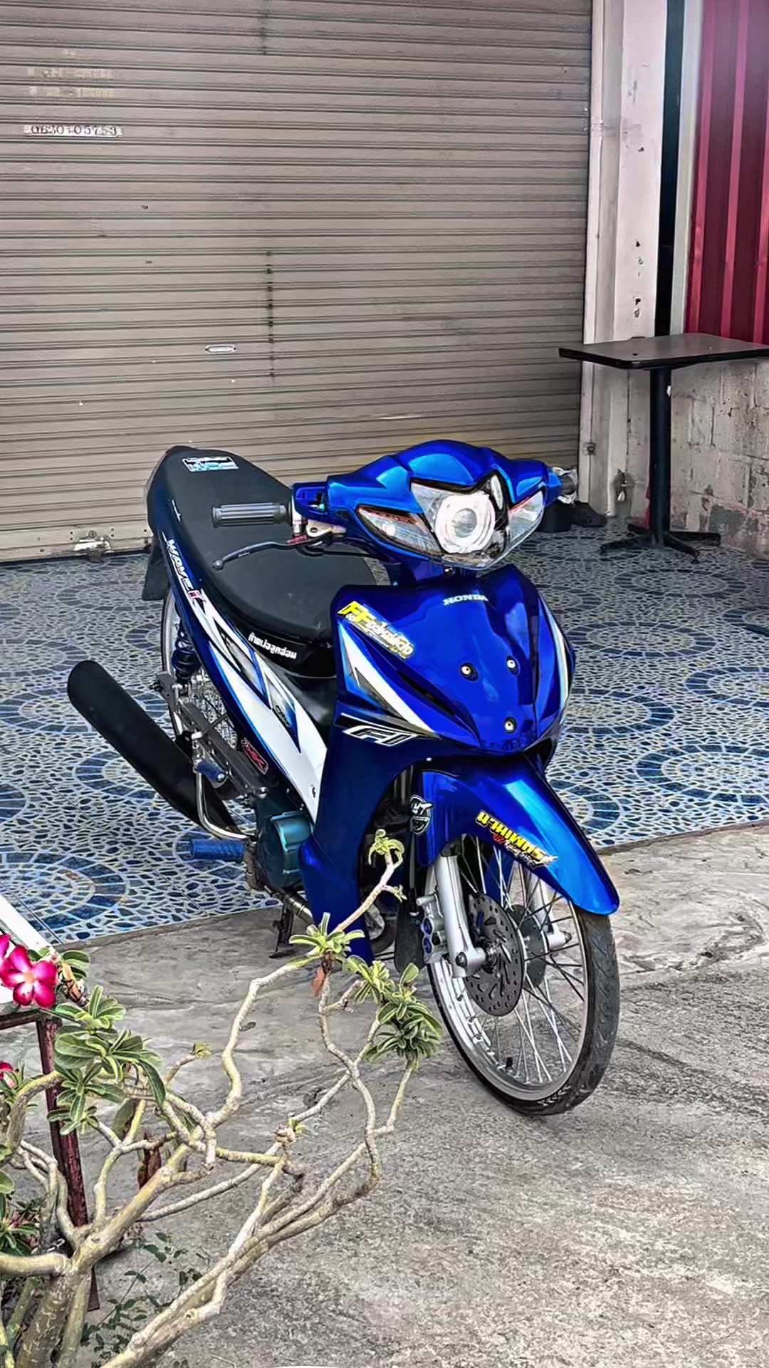 @💙chonlasit_@ (ช่องจริง2.5M💙)