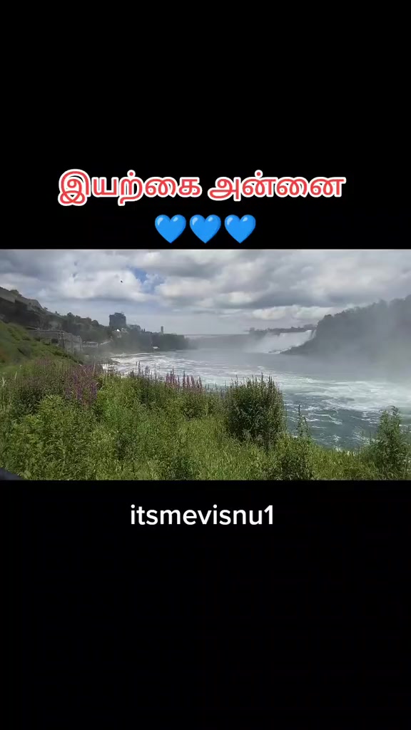 @✦  VICHU🇨🇦  ✦