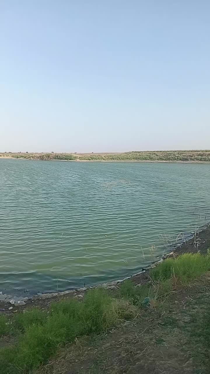 @Traktor_Aləmi