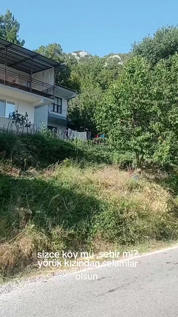 @0003