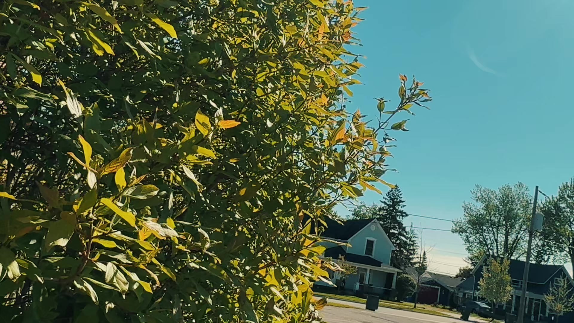 @IDKLILCB