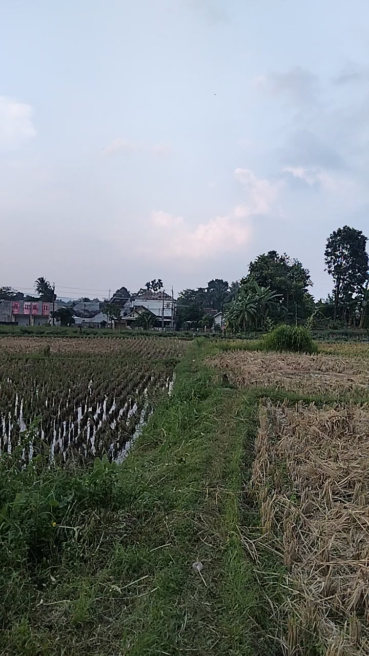 @Suzzanthi_Zeea50