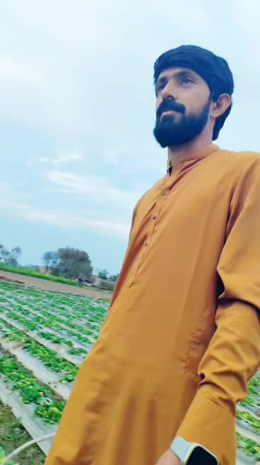 @Kashi Bharwana 302