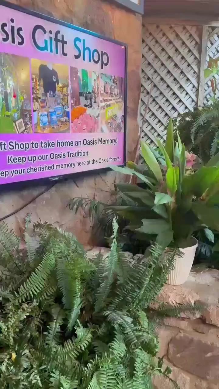 @ek ajanabi