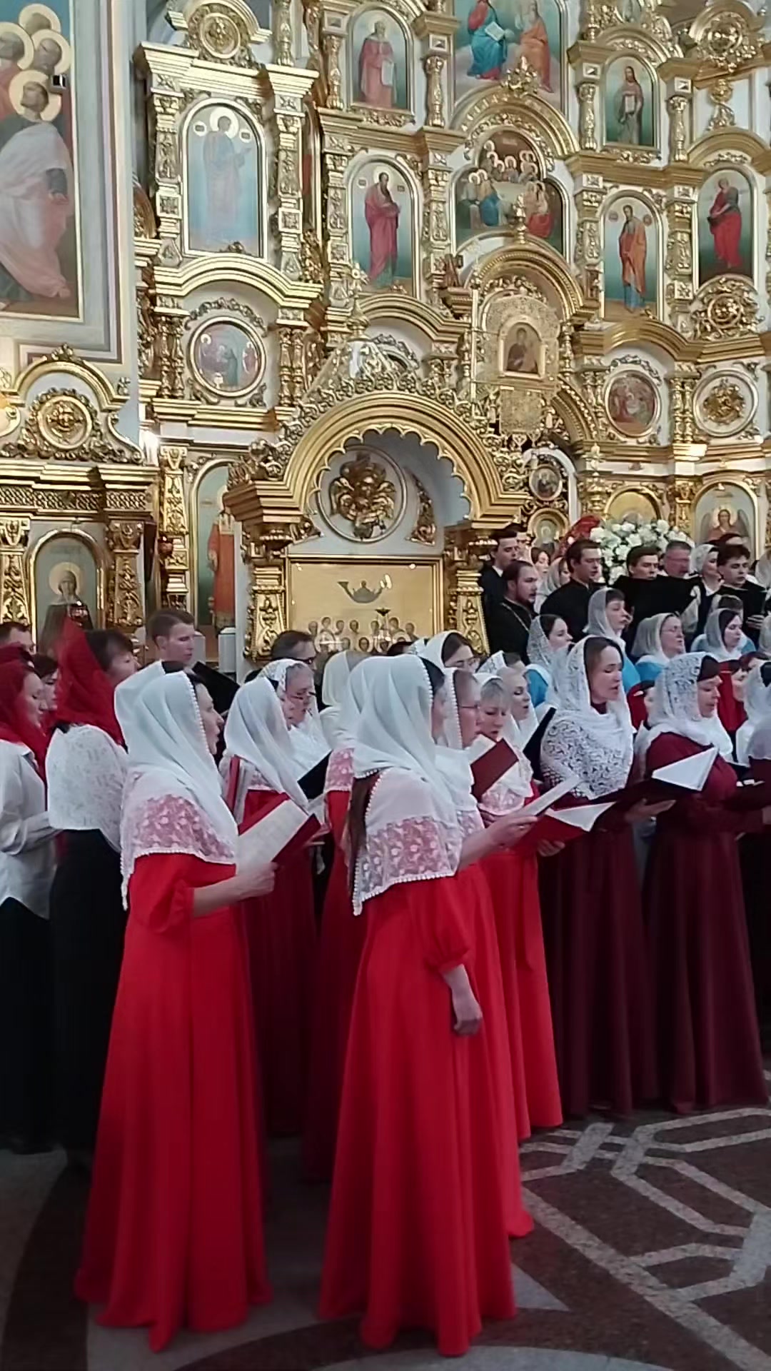 @DASHенция
