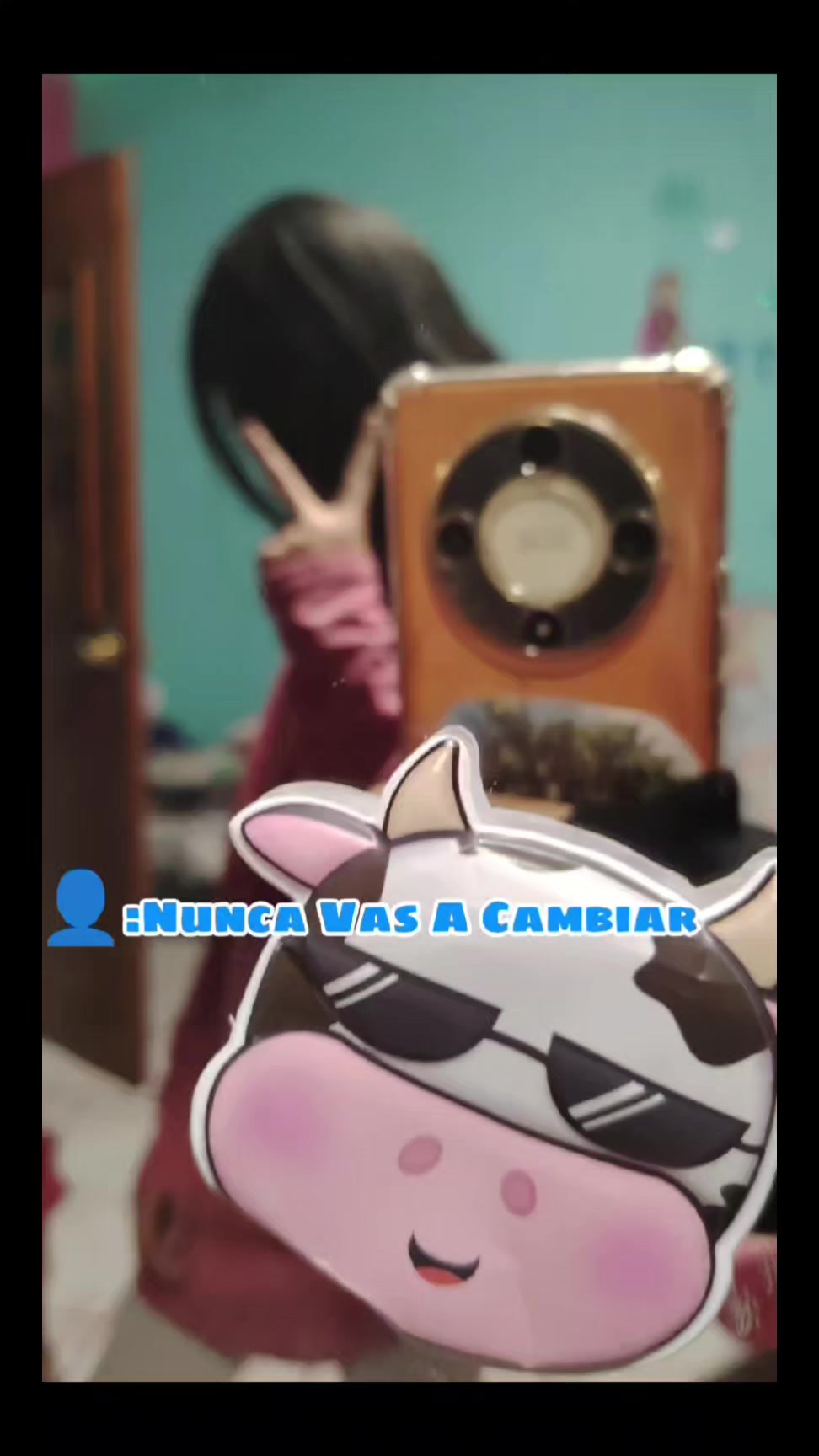 @💗🐎Tu vaquerita🐎💗