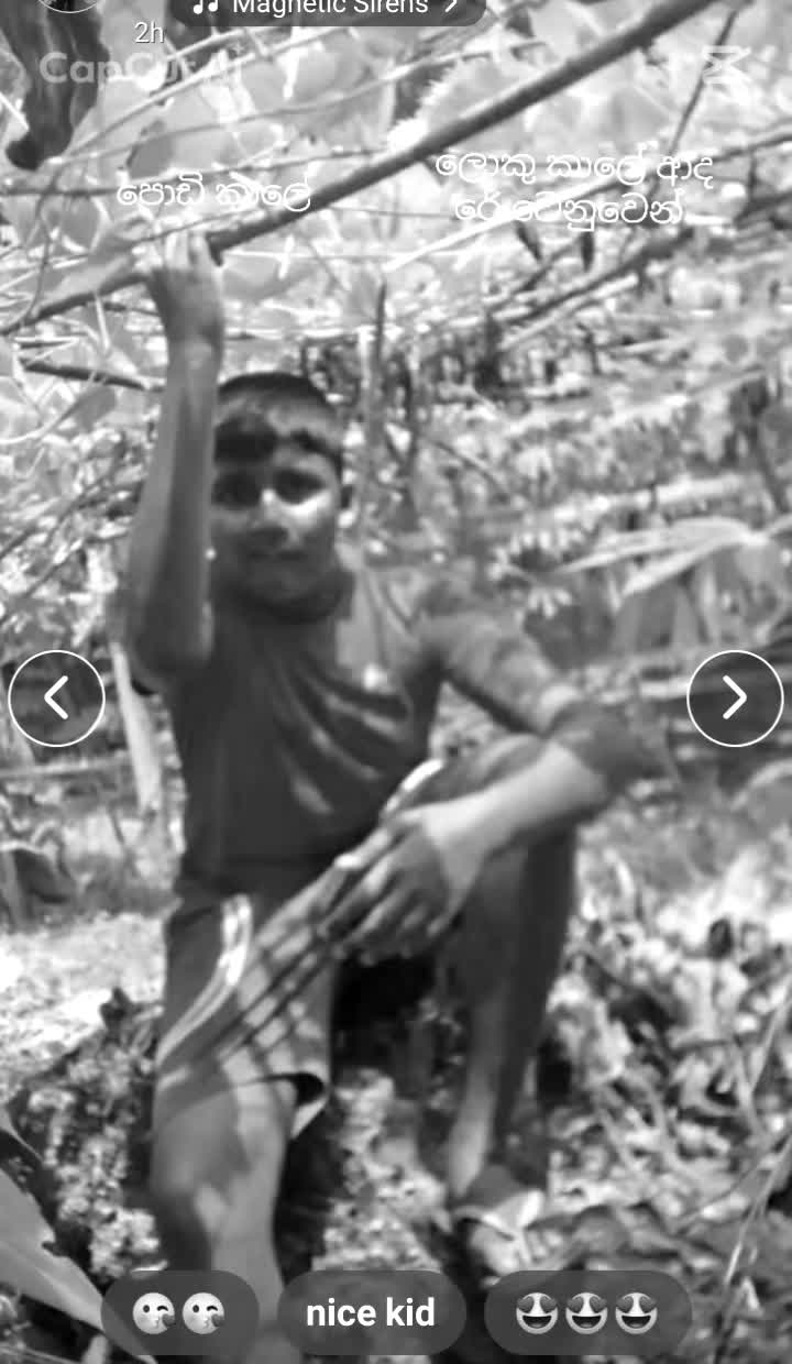 @සුද්දා