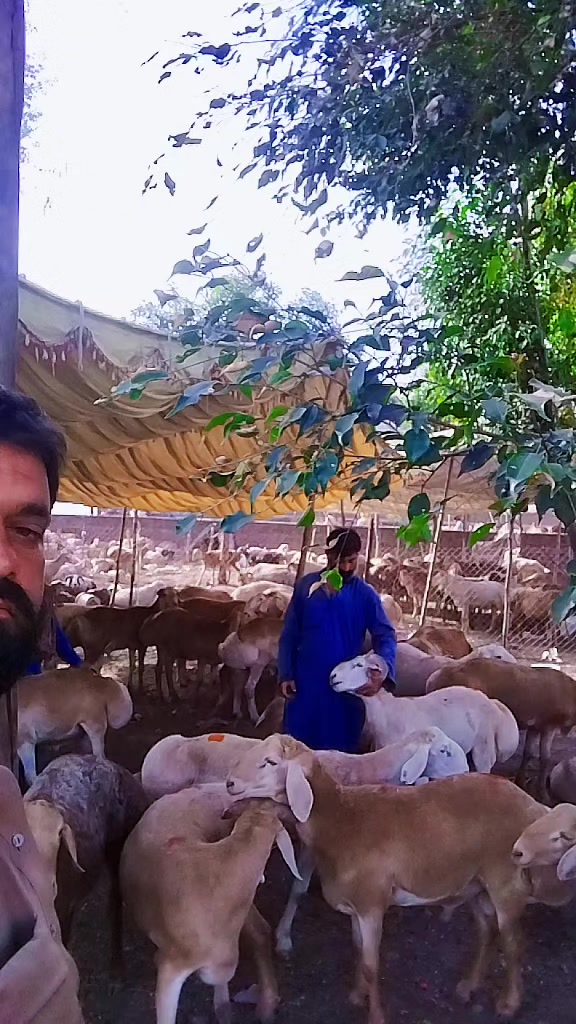 @azad khan
