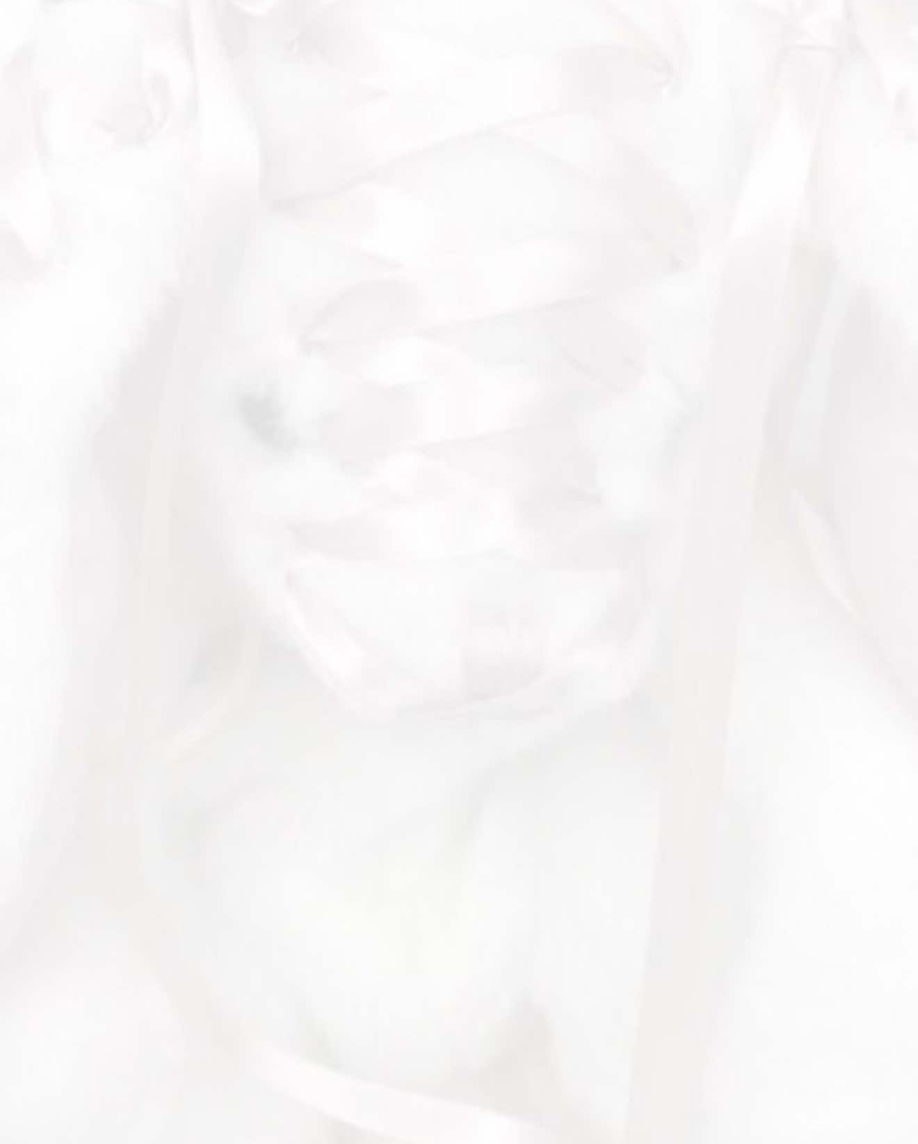 @ᴇᴀꜱᴛᴇʀᴍᴀɴꜱʟᴀᴍʙ