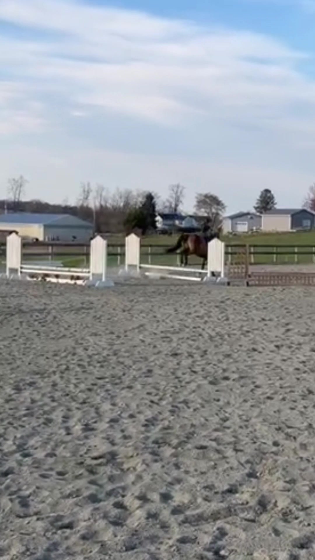 @Aftyn 🐎