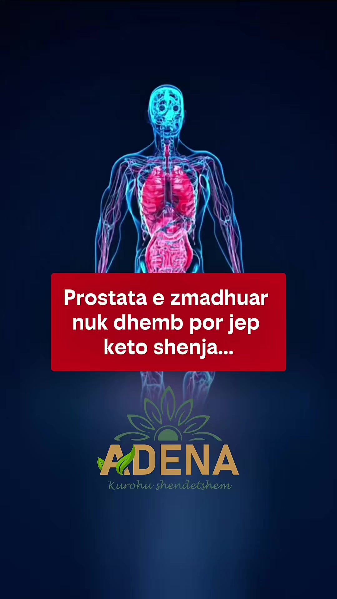@adena.al