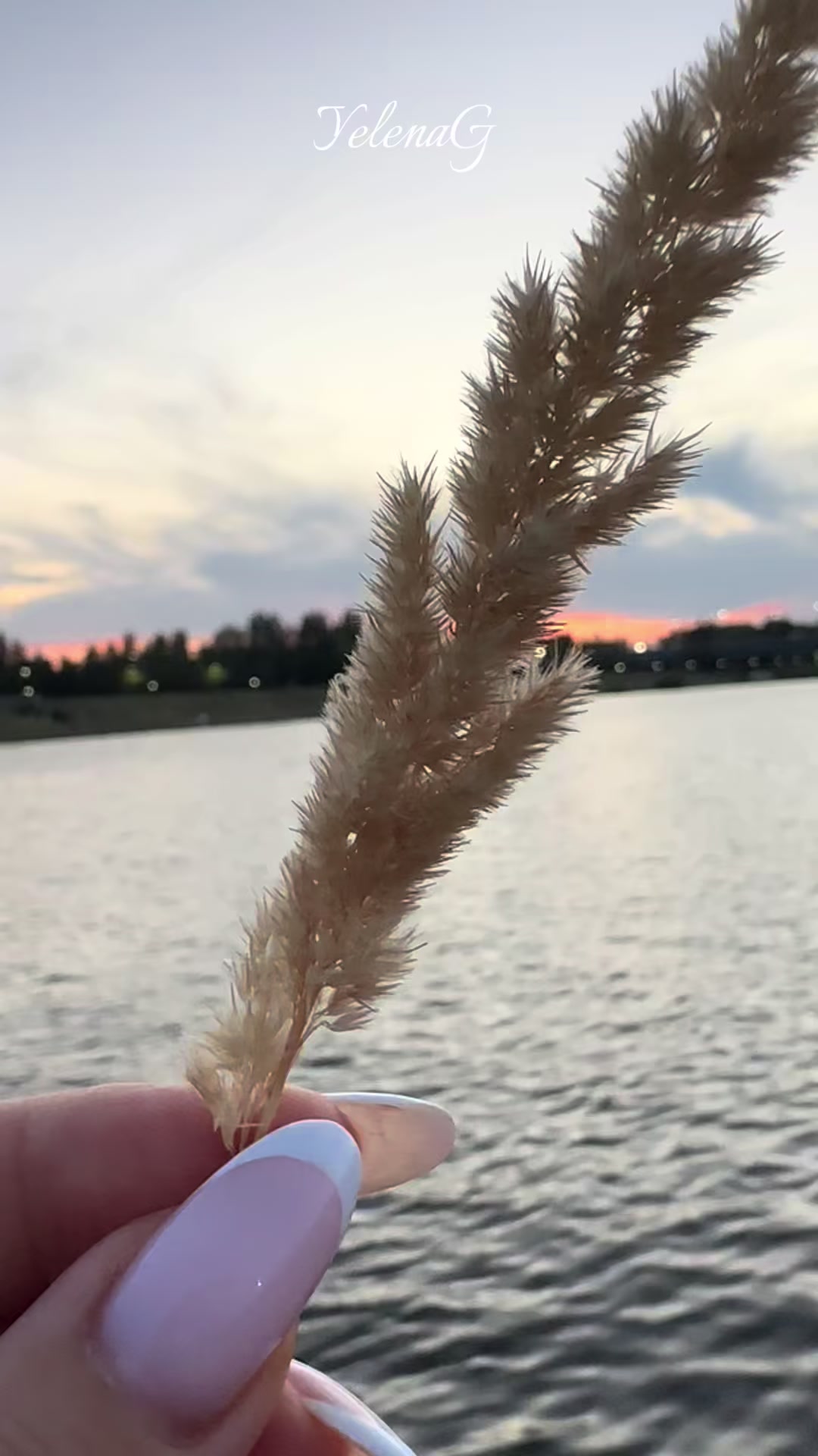 @🕊️❤️🕊️