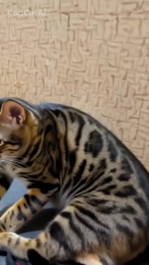 @睡眠プロデュース