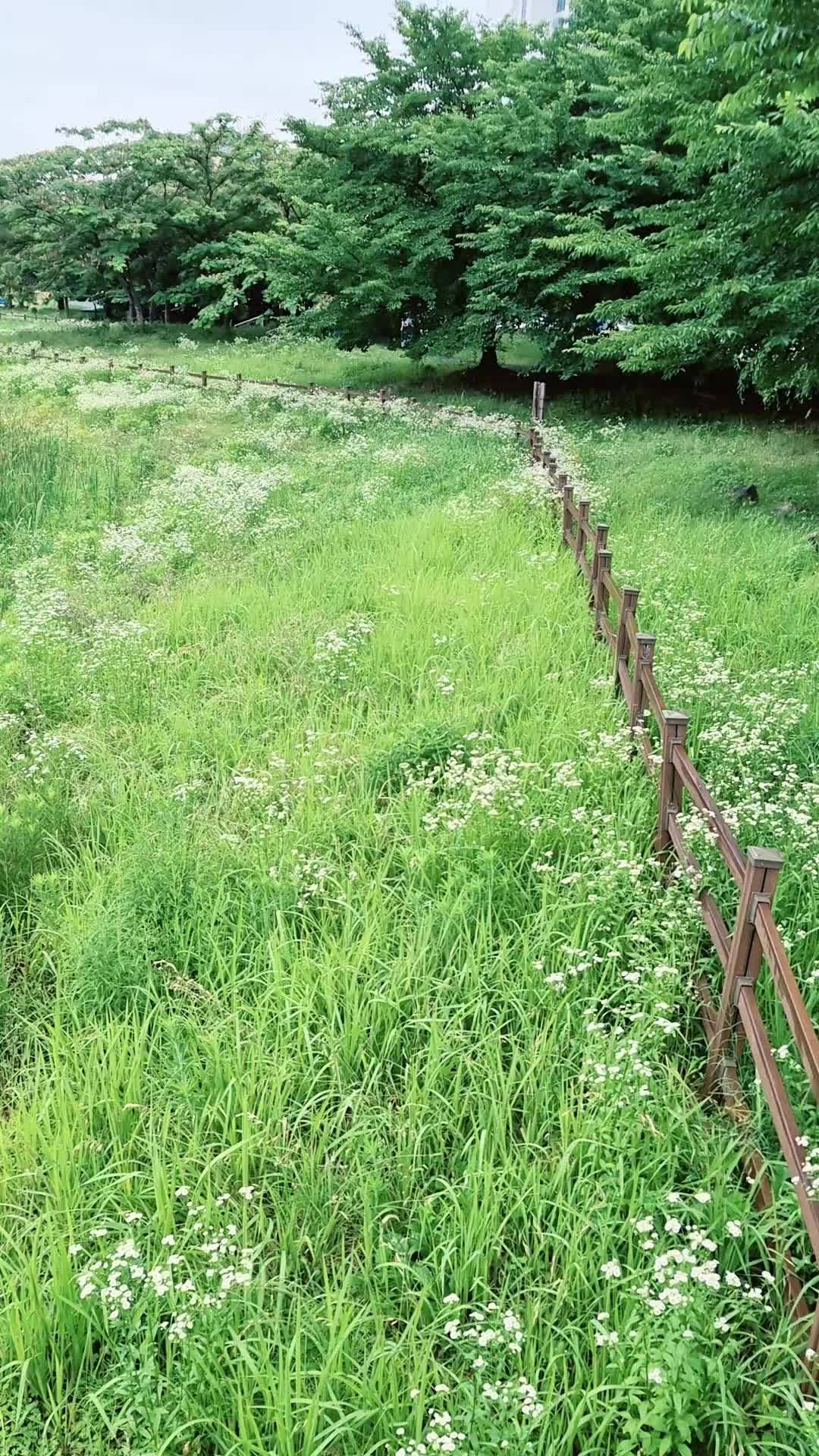 @캔디