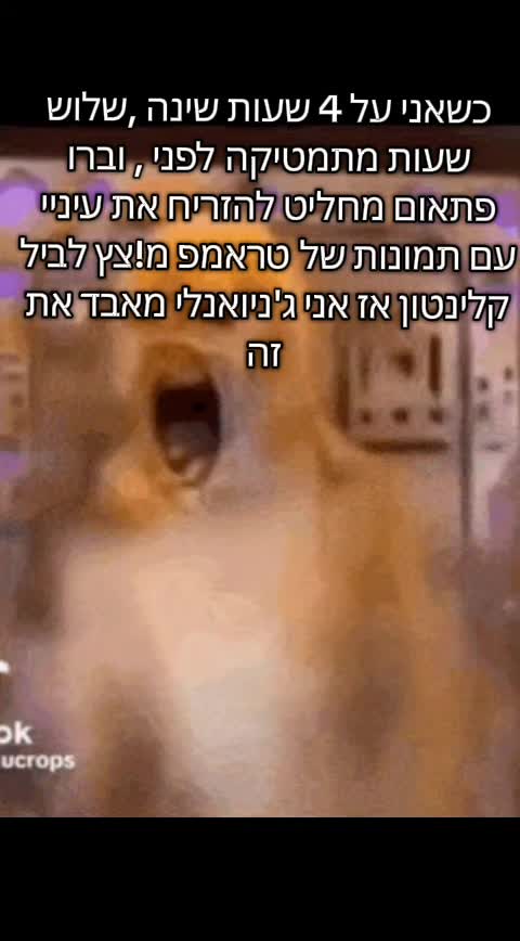 @ד"ר בית