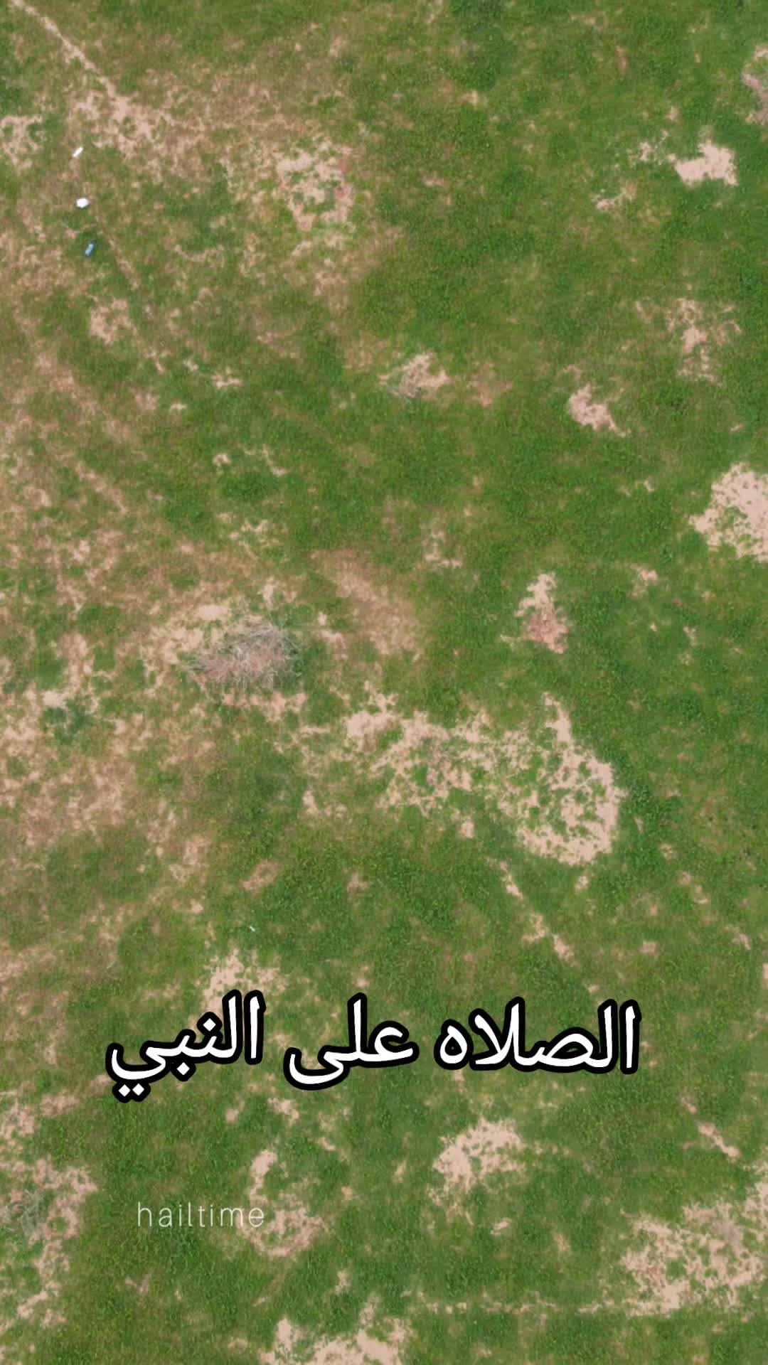 @ابوايوب الشمري