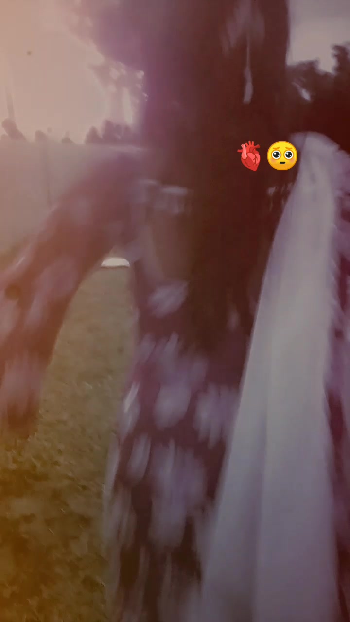 @Aanaya__ pArwEee&ntilde;🫶❣️