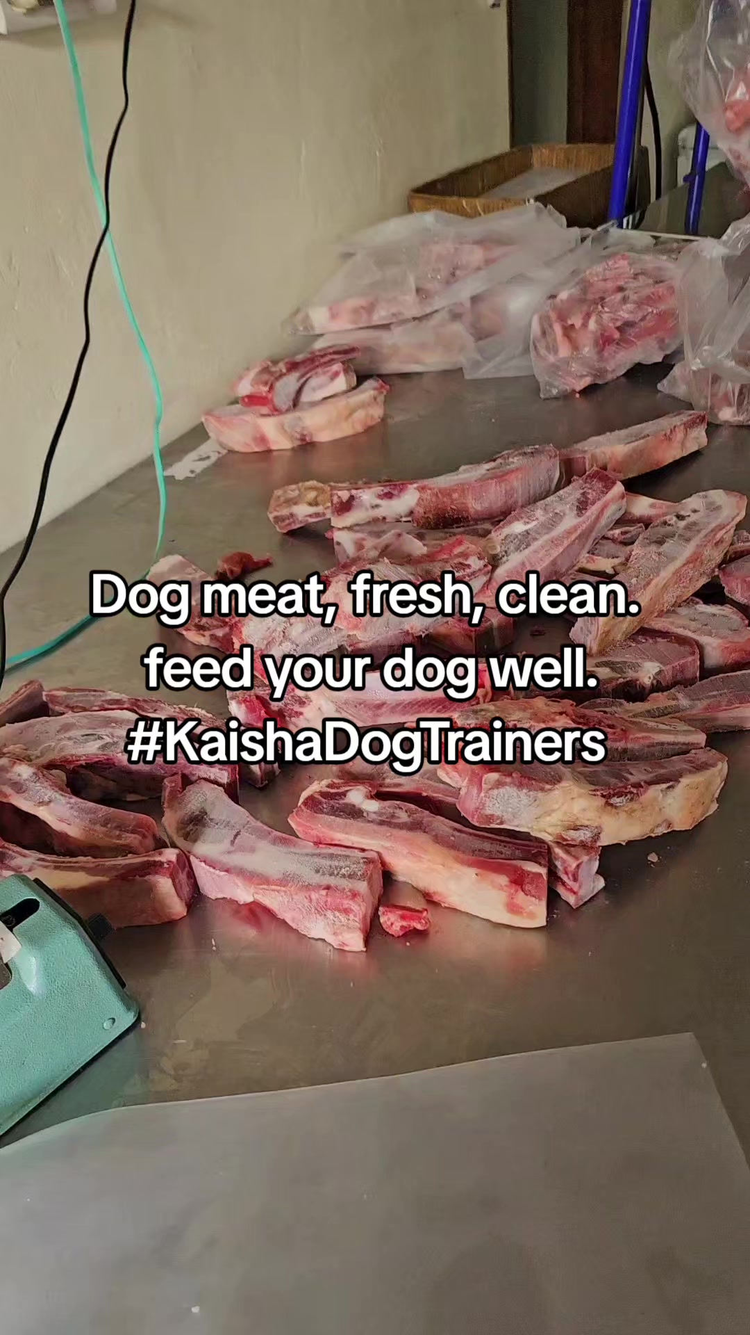 @kaishadogsofficial