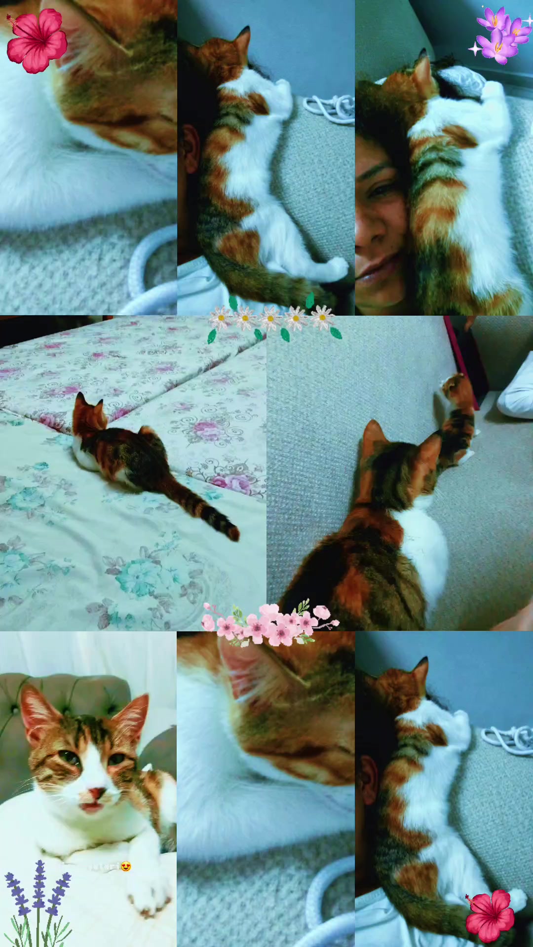 @Melek_uğur 01
