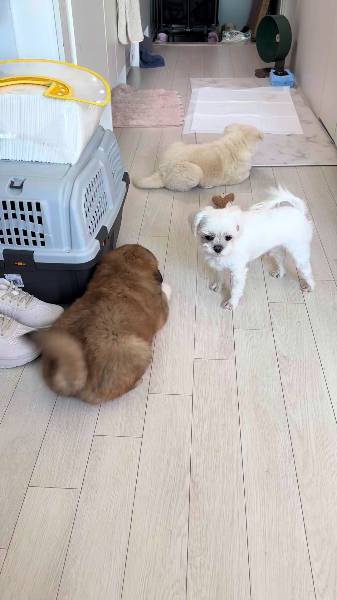 @오늘도 귀여워