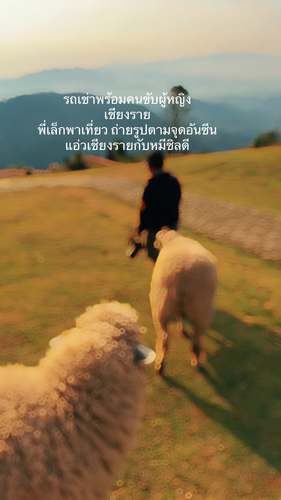 @รถเช่าพร้อมคนขับผู้หญิง