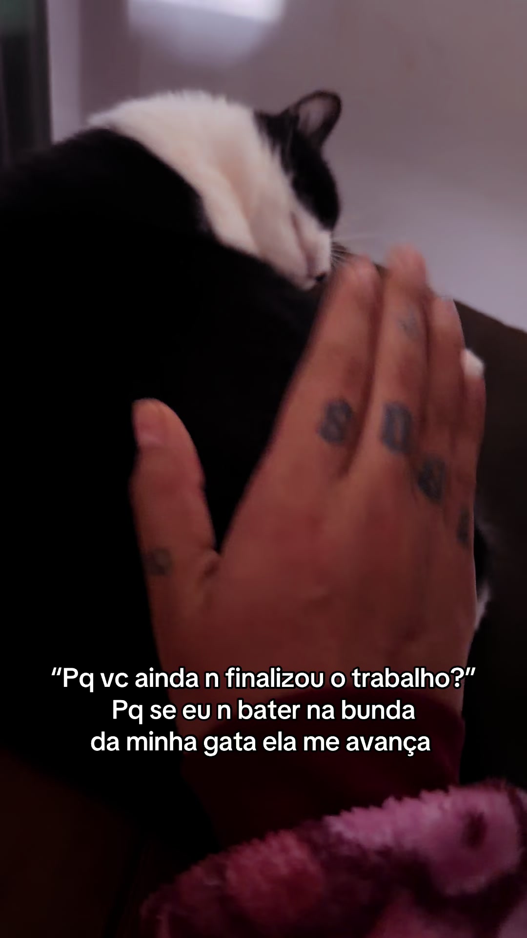 @Gabriela Lindner