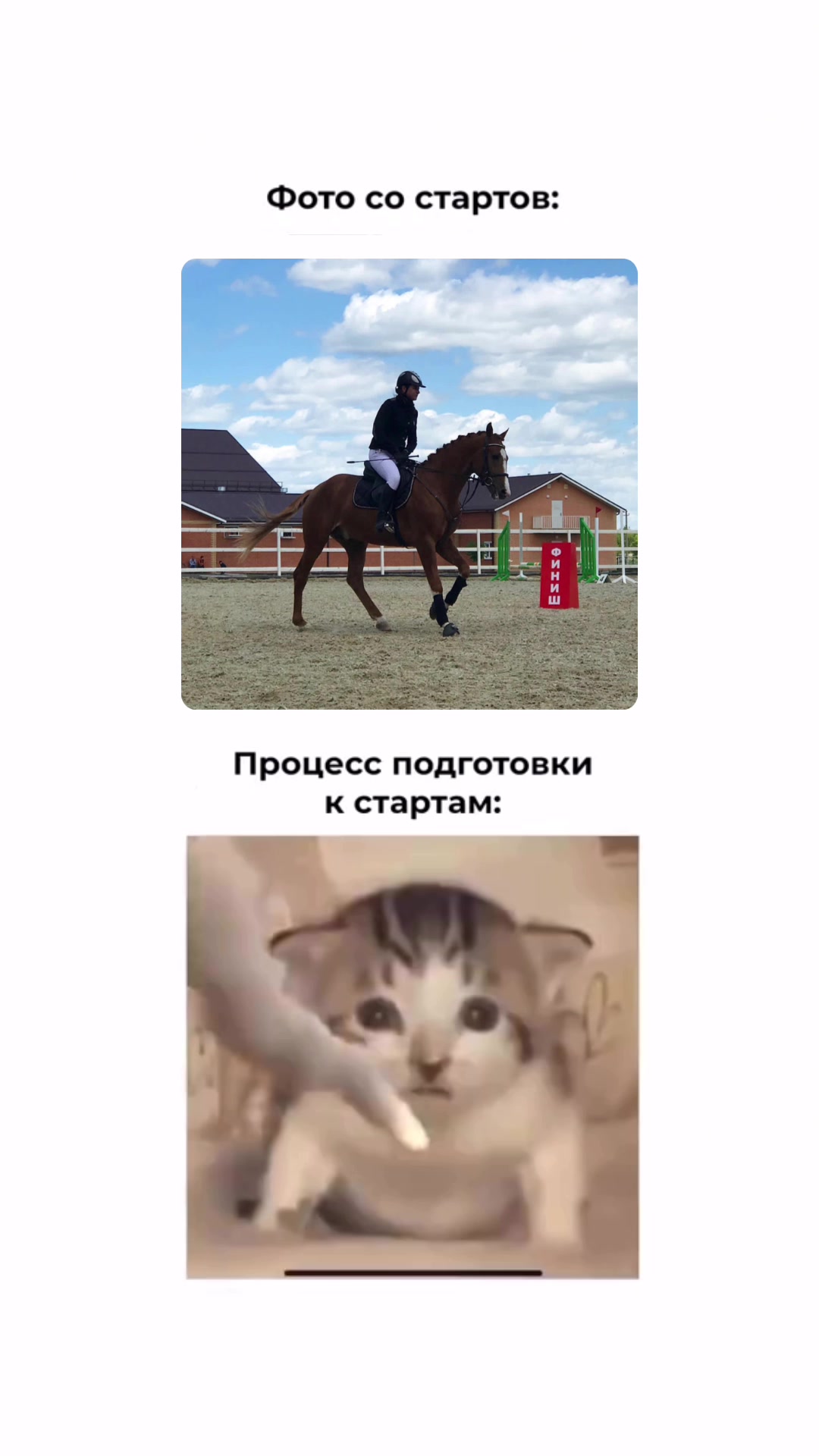 @ТГК Kristina_KATT