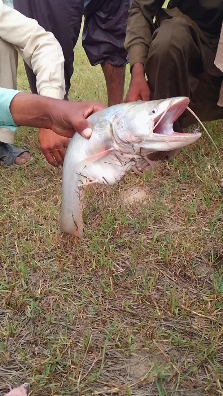 @Ghulam Murtaza Rehmani😎