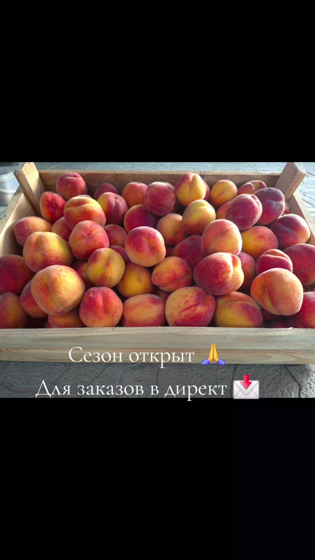@Вадим Вадимович