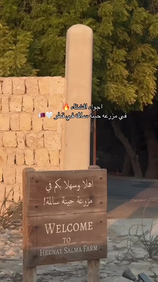 @lolo_yemen