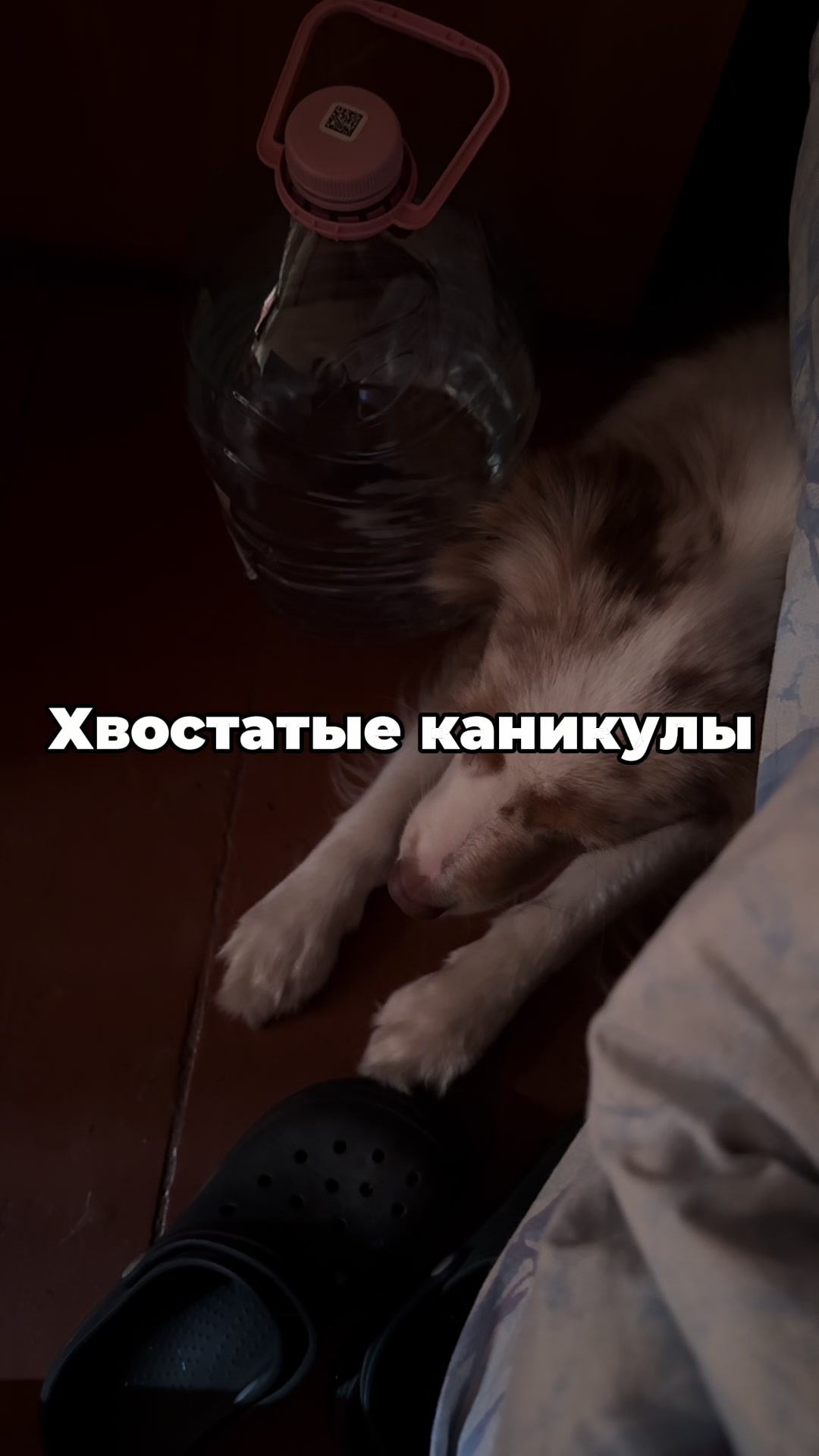 @𝚃𝚠𝚒𝚡