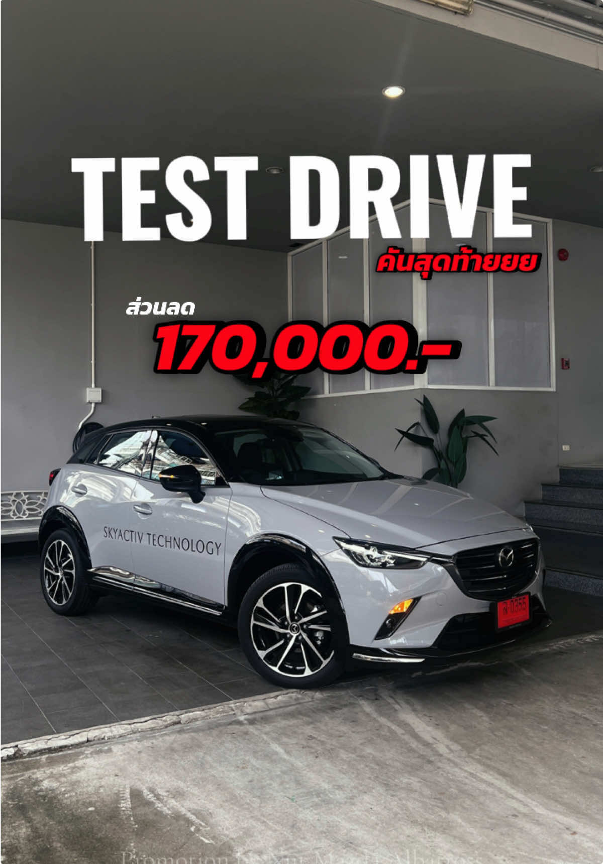 @Nut Mazda Albatross