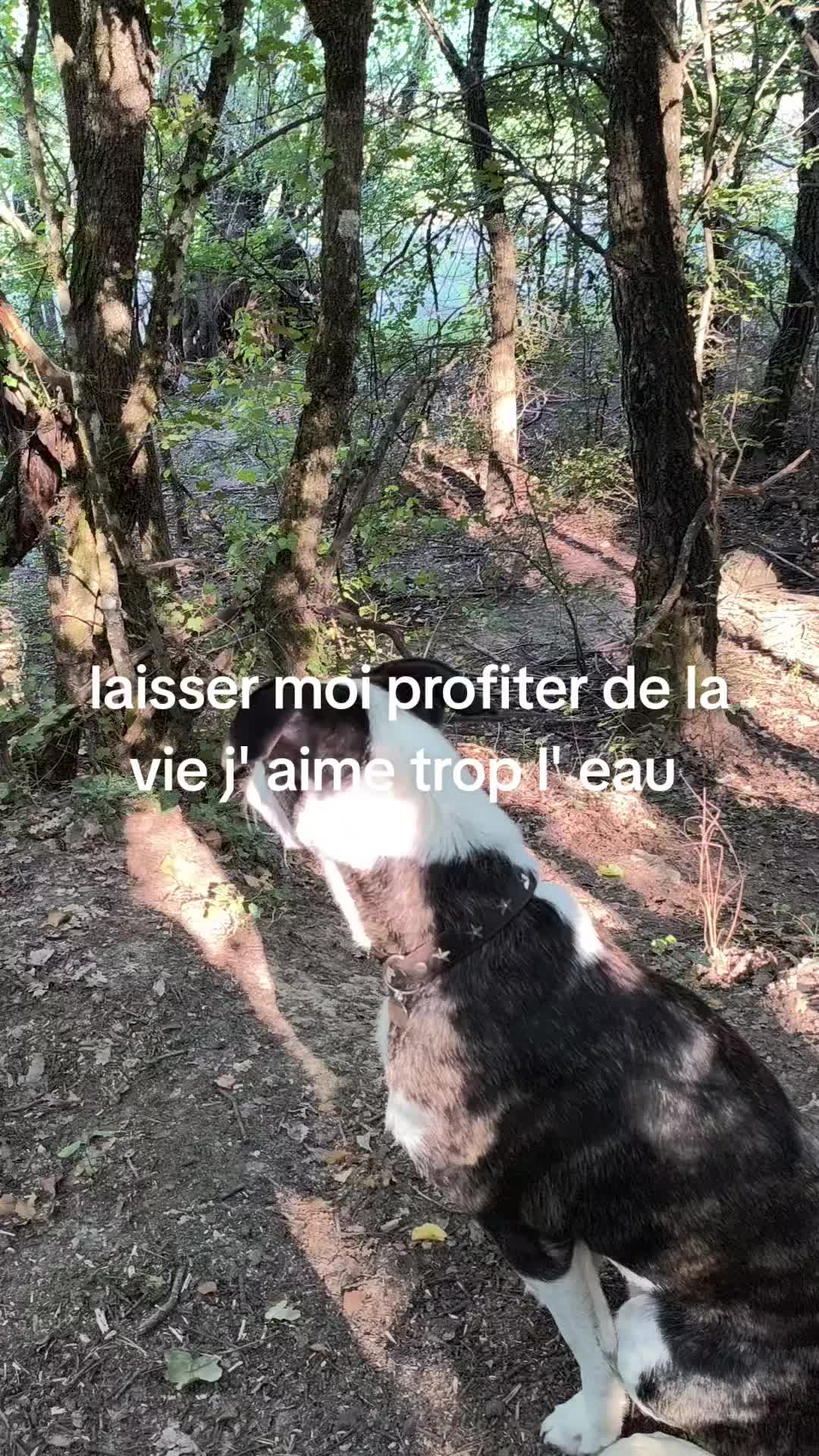 @Antoine frau