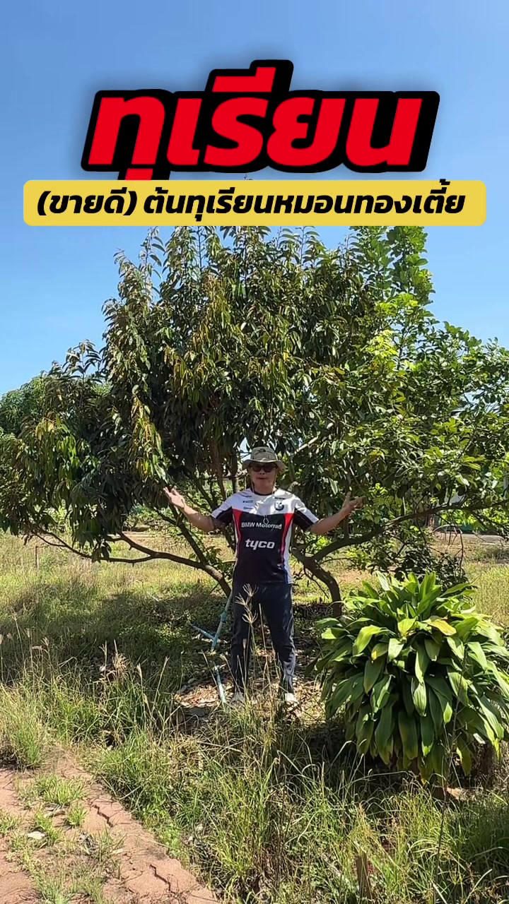 @Tok Car 🛵( ช่องจริง )