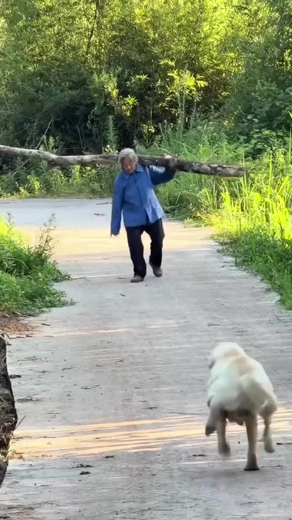 @Funny