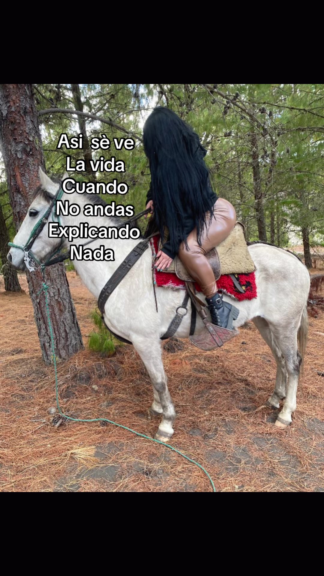 @joselyn paola