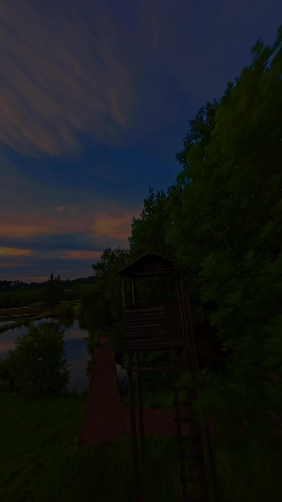 @𝗱𝗺𝗻𝗹𝘆𝗿𝗶𝗰𝘀