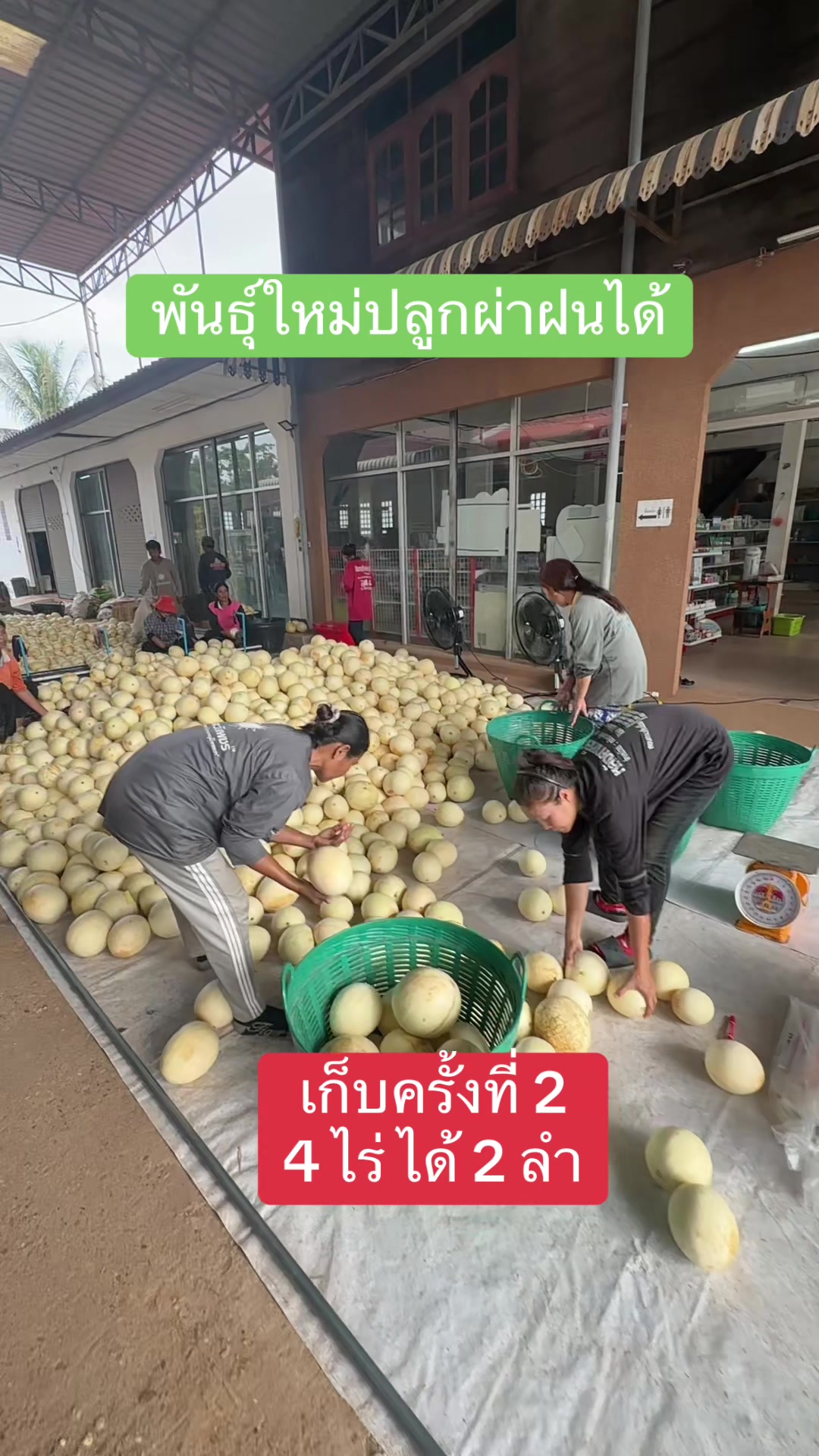 @โจ้ J35