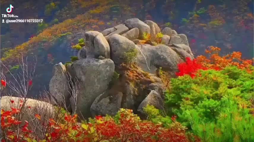 @(주)아남테크원